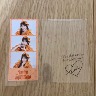 2614850134.jpg?1750499705