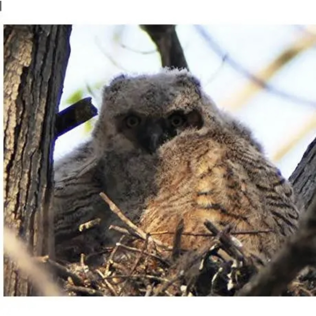 Canon一眼レフ用！望遠レンズ！サードパーティ製品！おすすめ！初心者