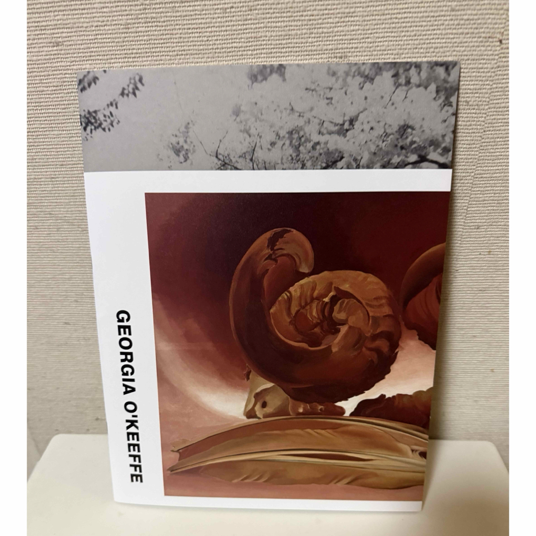 COMME des GARCONS - コムデギャルソン ジョージアオキーフ アート