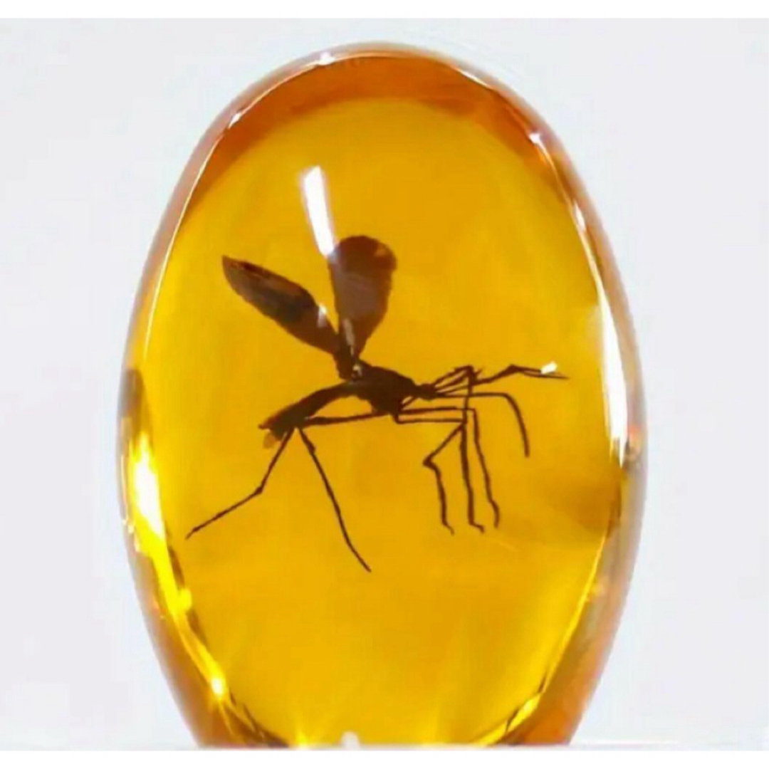 輸入品】映画『ジュラシック・パーク』琥珀の蚊のレプリカを模した