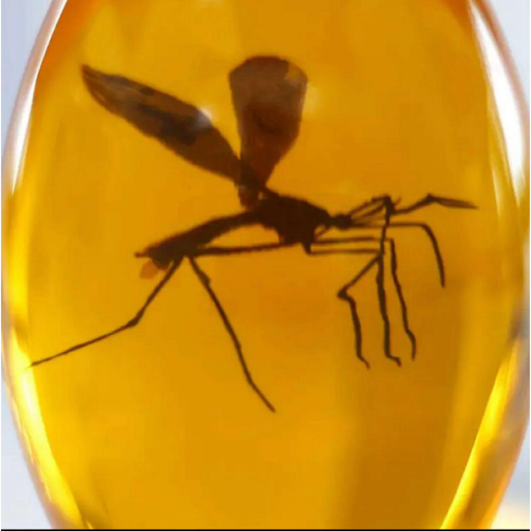 輸入品】映画『ジュラシック・パーク』琥珀の蚊のレプリカを模した