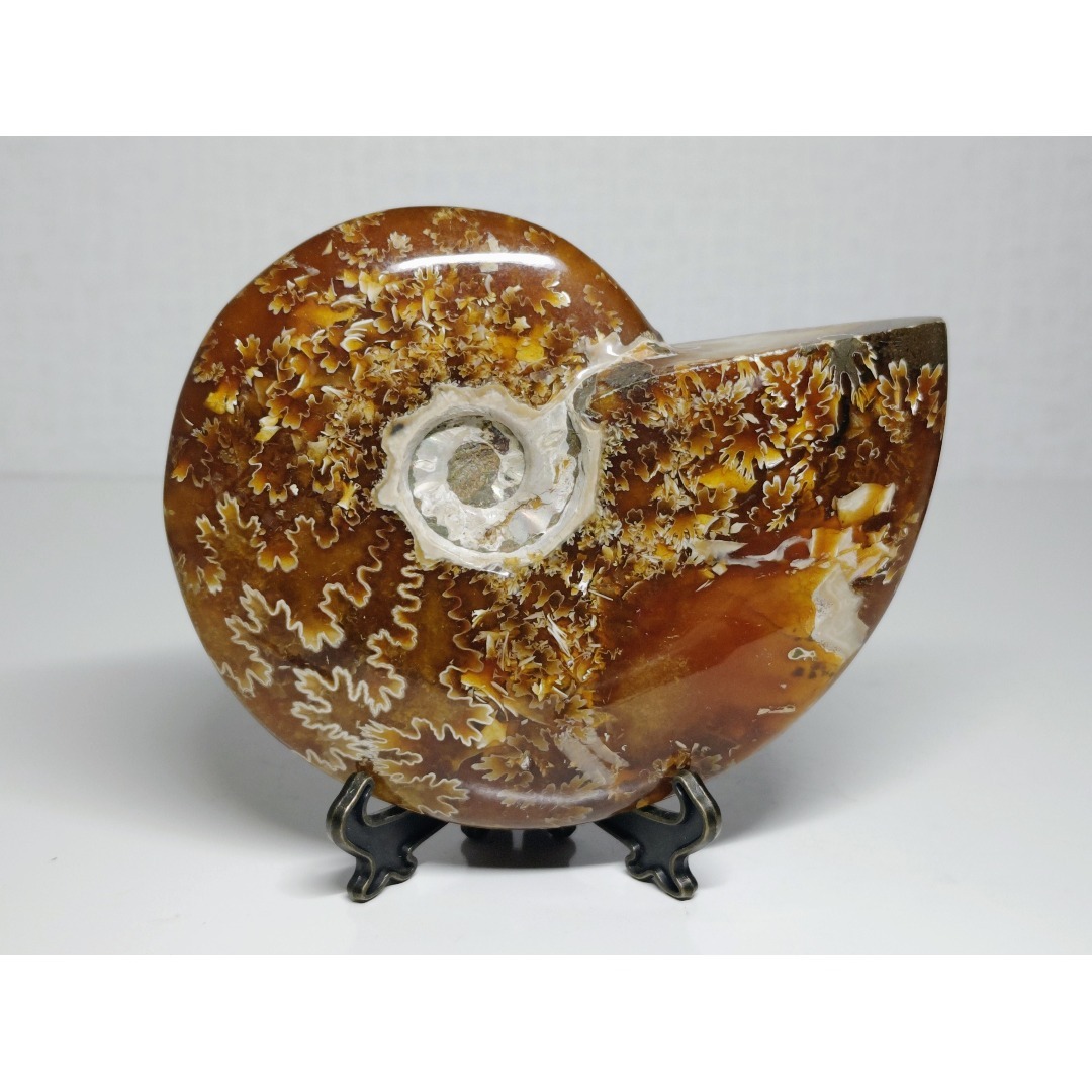 アンモナイト 383g アンモライト オパール 原石 鑑賞石 自然石 誕生石