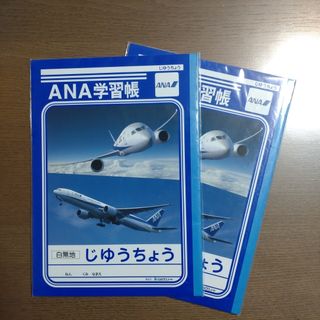 ANA(全日本空輸) - ANA機内販売限定 フライングホヌ A380 HONU