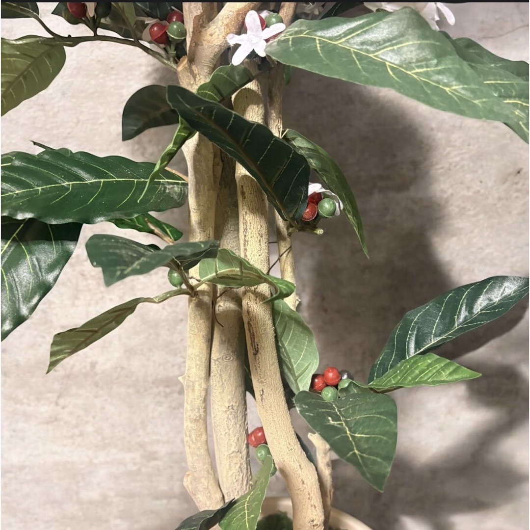 光触媒 人工観葉植物 ウォールグリーン フェイクグリーン コーヒーの木