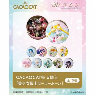 セーラームーン - セーラームーンなかよし全プレ当時物の通販 by