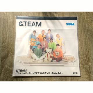 &TEAM - &TEAM NICHOLAS D'ICON 付録 2点セットの通販 by にこりん's
