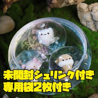 MOMO - MOMOスクイーズ海洋第1弾 未開封x2の通販 by ぴぴ's shop｜モモ