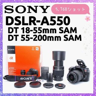 Nikon - 超美品 NIKON D80 デジタル ボディ ショット数 1356枚 H197の