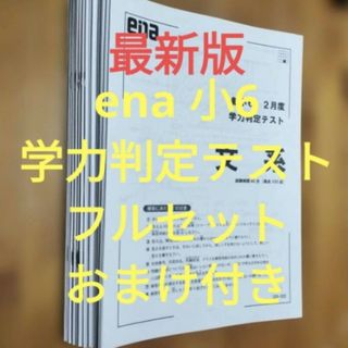 開智小学校（総合部）・開智所沢小学校・開智望小学校入試問題集の通販