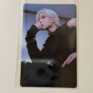 ATEEZ - ATEEZ OUTLAW ラキドロ 動物人形トレカ ウヨン【295】の通販