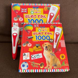 小学館 - 仮面ライダーリバイス コアラVSカンガルー結婚式のチューし