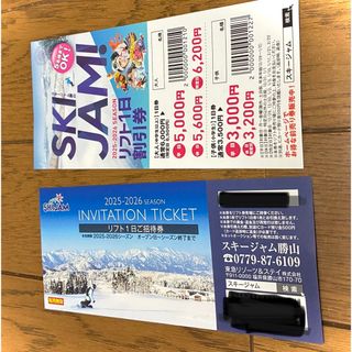 ロッテアライリゾート リフト券1枚の通販 by よしお's shop｜ラクマ