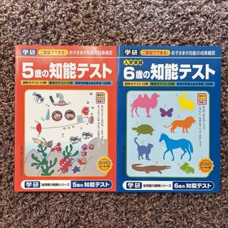 最新版 浜学園 小6 マスター 理科 Sクラス 2024年度 復習テストの通販