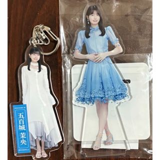 乃木坂46 - 大越ひなの 生写真 3枚コンプ 2026 luckybag 福袋