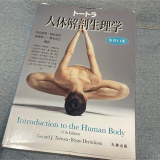 ケンダル 筋:機能とテスト 姿勢と痛みの通販 by ヨッシー's shop｜ラクマ