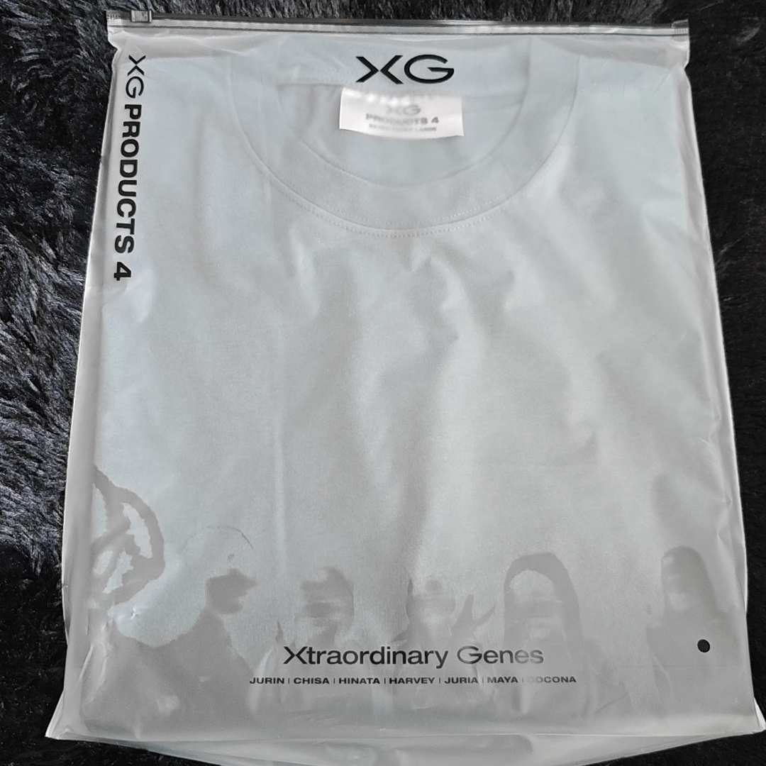 xg - 新品未使用 手元有】XG THE CORE ロングスリーブT GRAY XLの通販