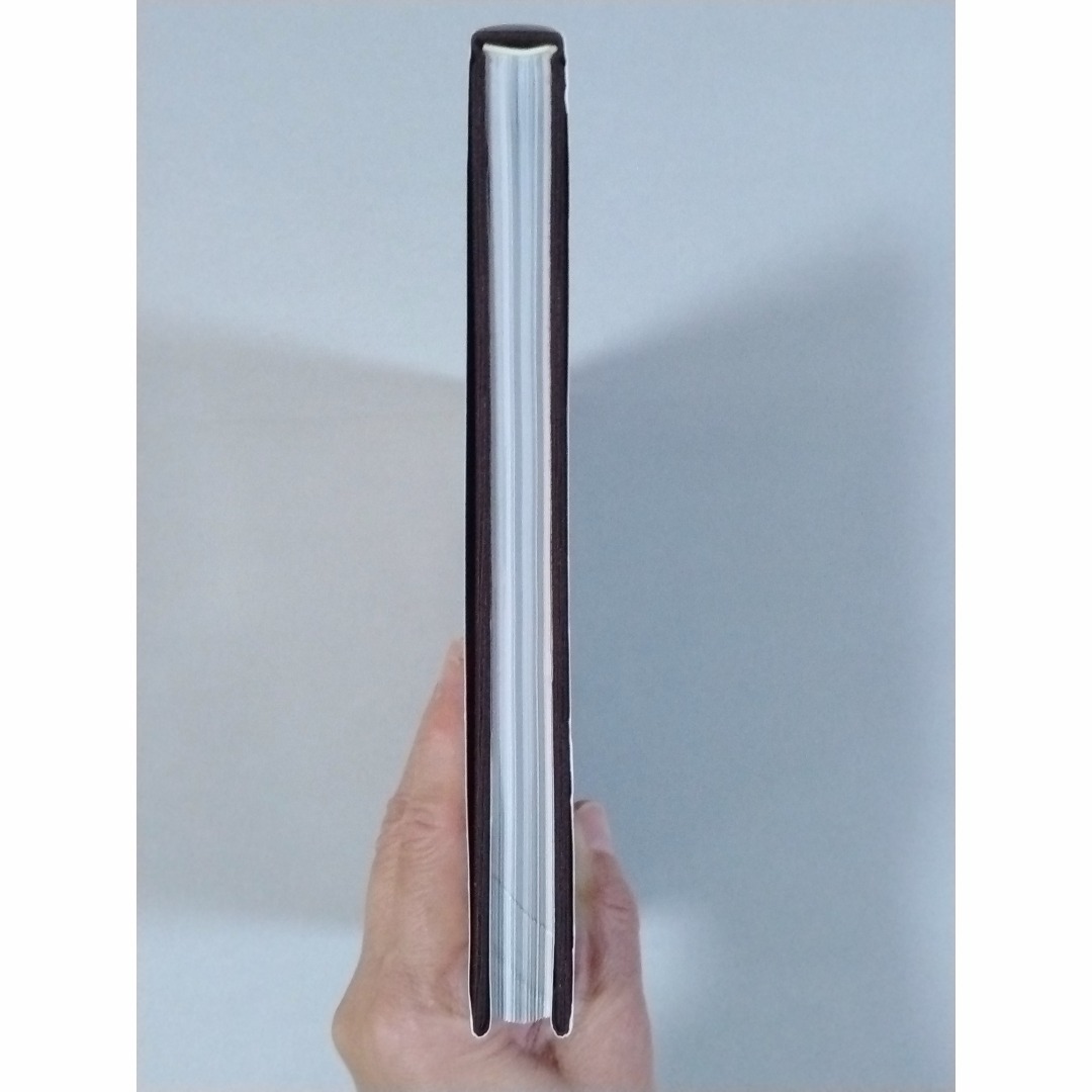 希少本 ケース付き」 BURST GANG 高嶋元能 1999年 オリジナルの通販 by