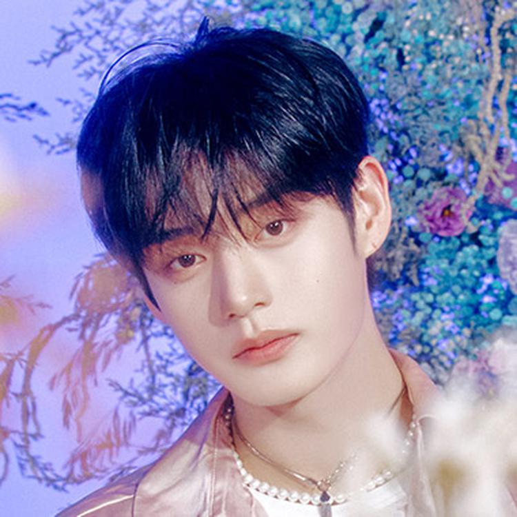 ZB1 キムジウン B賞 勝ち ゼベワン あっち向いてホイトレカ 2枚 ZB1