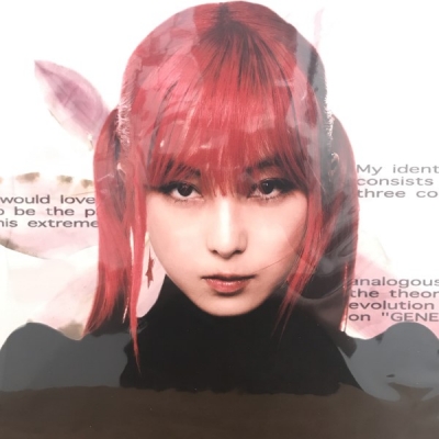 中古:盤質AB】 GENE LP (2枚組アナログレコード) : a子 | HMV&BOOKS