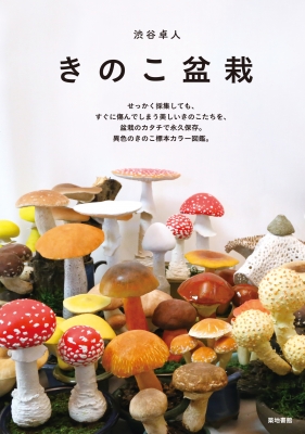 きのこ盆栽 : 渋谷卓人 | HMV&BOOKS online - 9784806714798