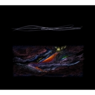 踊ってばかりの国、2022年9月リリースの『Paradise review』が待望の