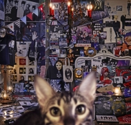 BUCK-TICK デビュー30周年記念オールタイムベスト9/20発売｜キャリア