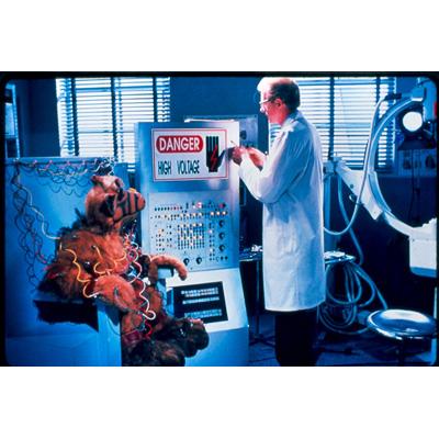 アルフ/ザ・ファイナル・スペシャル : アルフ | HMV&BOOKS online