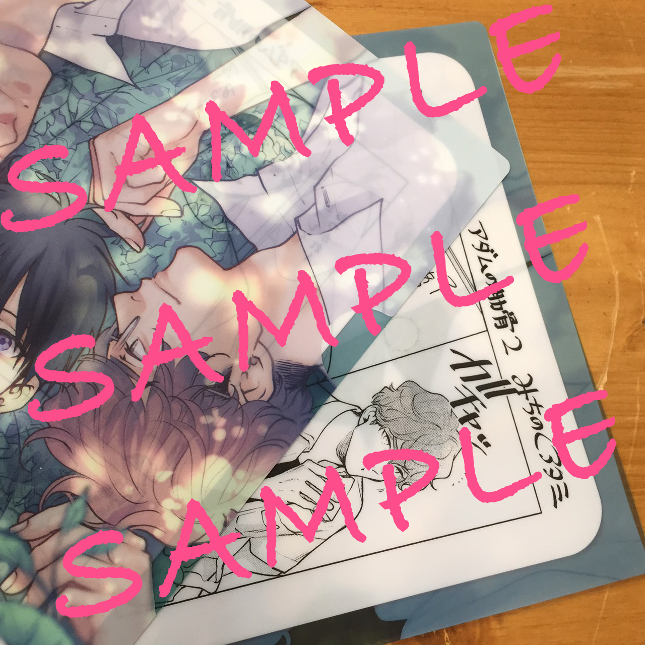 カリギュラの恋 | ホーリンラブブックス