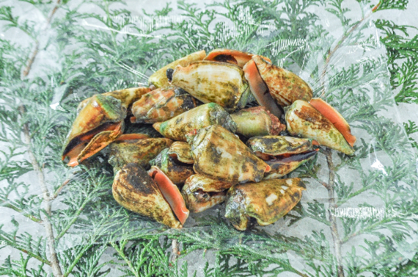 チャンバラ貝（マガキ貝） 【業務用食材の仕入れなら八面六臂】