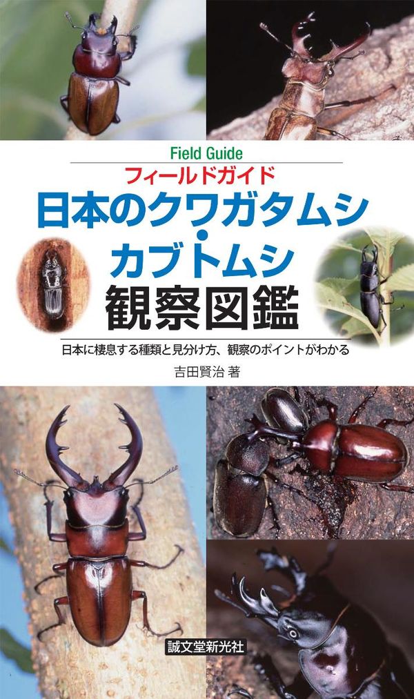 日本のクワガタムシ・カブトムシ観察図鑑 吉田 賢治(著) - 誠文堂新光