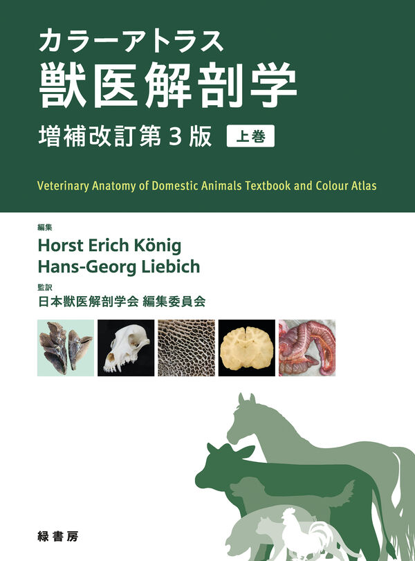獣医解剖・組織・発生学 第2版 Yahoo!オークション - 獣医解剖・組織