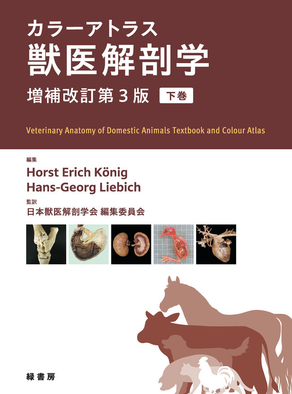 カラーアトラス獣医解剖学 増補改訂第3版 下巻 Horst Erich König(編