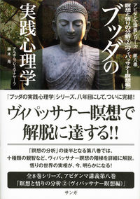 ブッダの実践心理学 第八巻 瞑想と悟りの分析②（ヴィパッサナー瞑想編