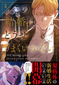 この結婚はどうせうまくいかない 3 Cheong-gwa(著