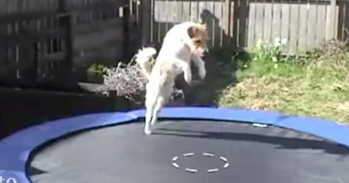 5c63526f3b000016046af143.jpeg?