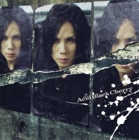 冬の幻 | ディスコグラフィー | Acid Black Cherry | アーティスト