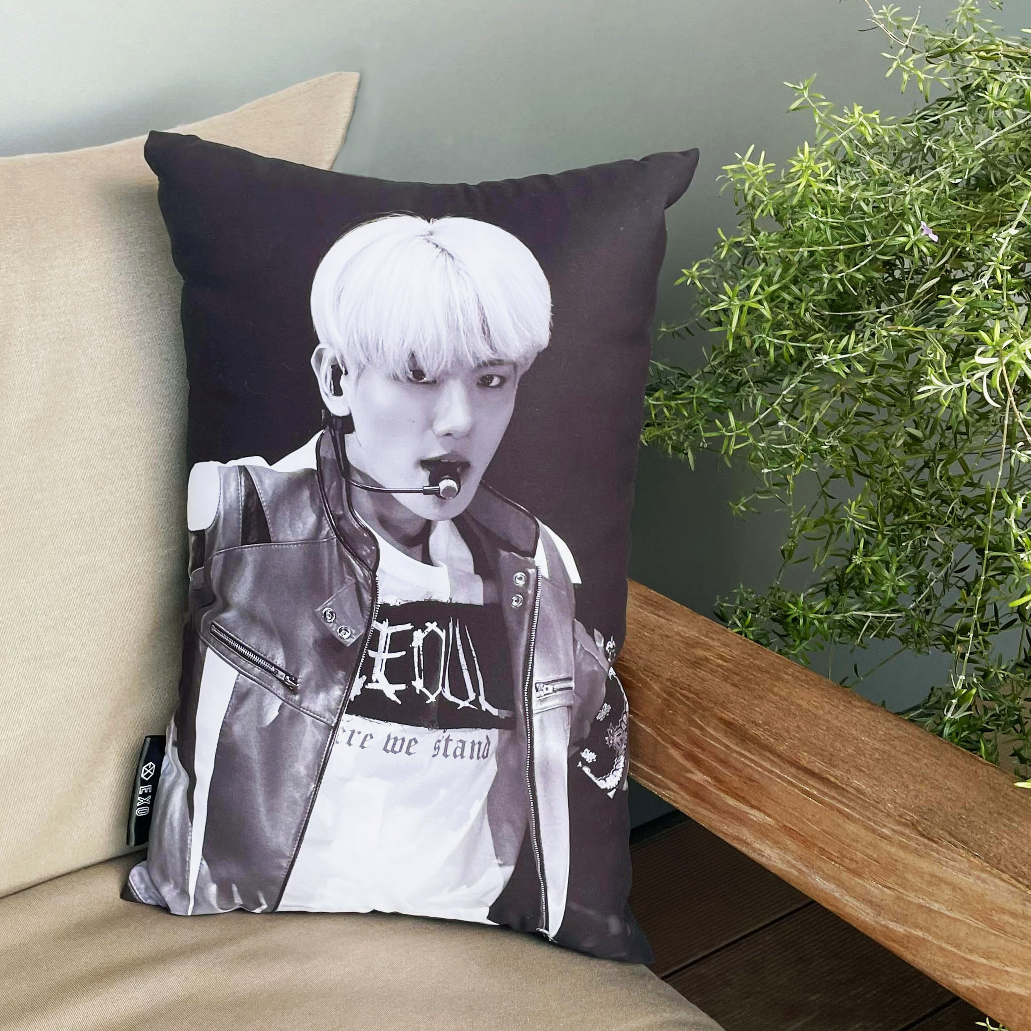 EXO-L-JAPAN限定】ビジュアルクッション (KAI)