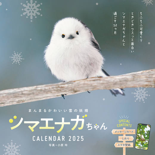 まんまるかわいい雪の妖精 シマエナガちゃん CALENDAR 2025