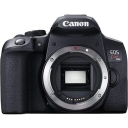 Canon EOS Kiss X9を徹底解説。作例からおすすめレンズまで | ONE