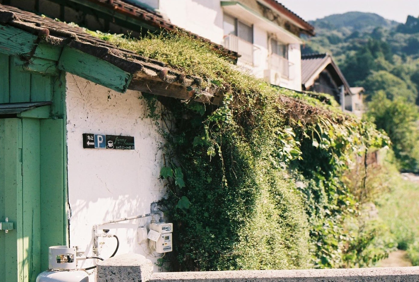 Nikon F100を徹底解説。作例からおすすめレンズまで | ONE SCENE（ワン