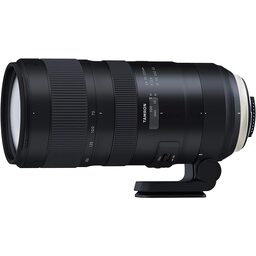 SIGMA 70-200mm F2.8 DG OS HSM｜Sports [ニコン用]を徹底解説。作例