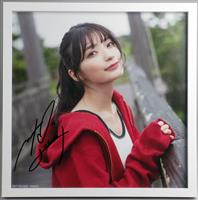 KOIAI Come see me サイン入り KOIAI Come see me サイン入り