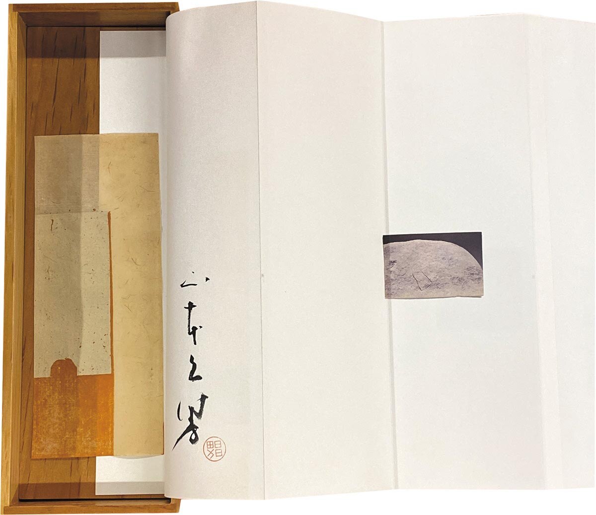 7001］ 山本昌男 masao yamamoto 直筆サイン本「omizuao オオミズアオ」