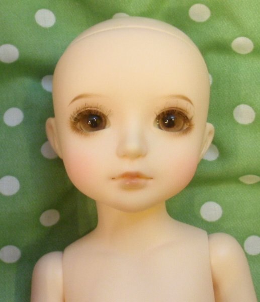 カスタムハウス＊Petite カスタムハウス * CUSTOM HOUSE * Petite Ai