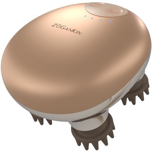 ゾーガン キンブルーム ウイルエーの通販・卸 | 4562134692569 | 理