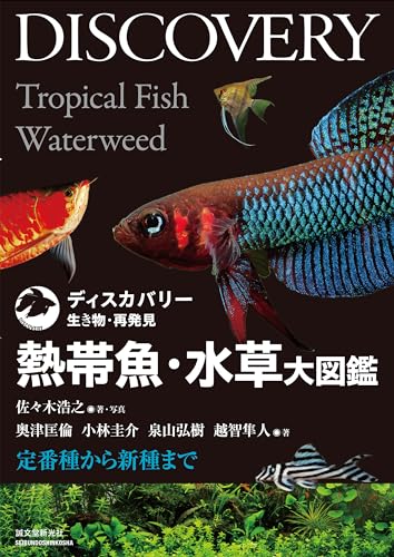 熱帯魚図鑑のおすすめ人気ランキング | マイベスト