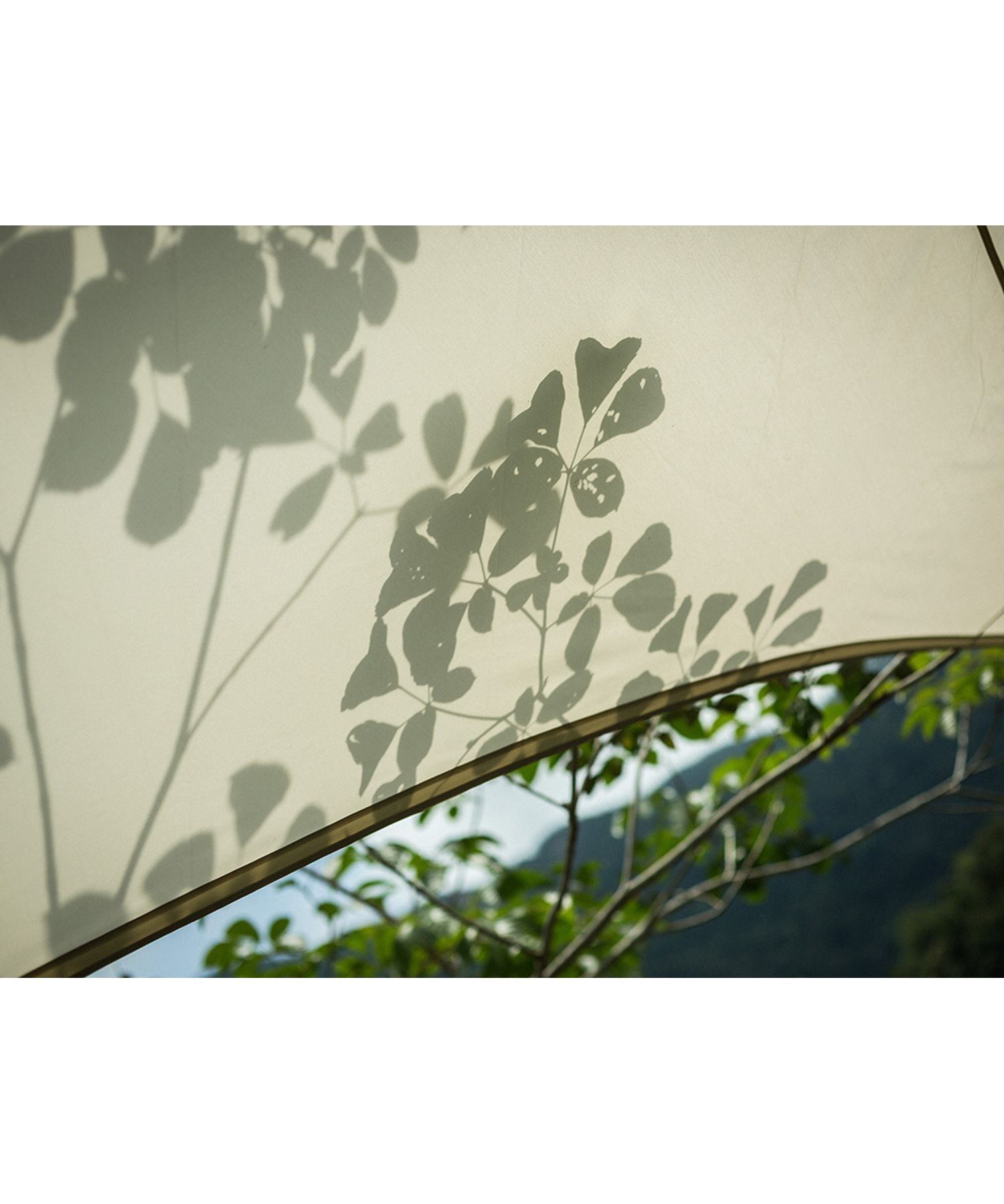 HDタープ ヘキサエヴォ Pro.アイボリー| スノーピーク(Snow Peak)