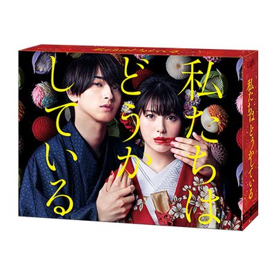 私たちはどうかしている Blu-ray BOX、シナリオbookセット 値下げ可