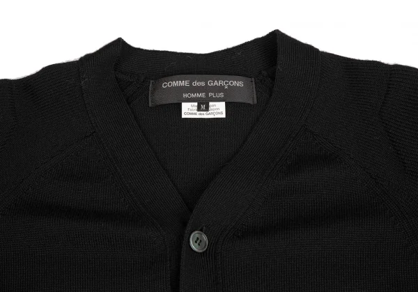 コムデギャルソン オムプリュスCOMME des GARCONS HOMME PLUS ソックス