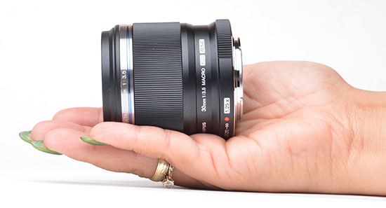 Olympus M.Zuiko Digital ED 30mm F3.5 Macro Review | Photography Blog